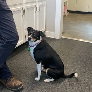 Meet your Posher, John